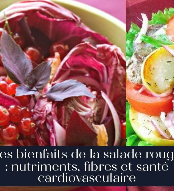 Les bienfaits de la salade rouge : nutriments, fibres et santé cardiovasculaire