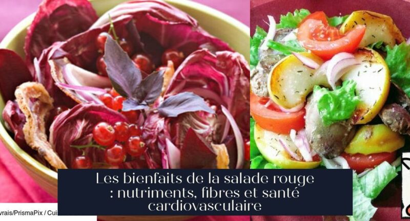 Les bienfaits de la salade rouge : nutriments, fibres et santé cardiovasculaire