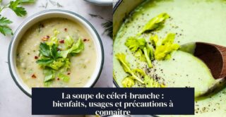 La soupe de céleri-branche : bienfaits, usages et précautions à connaître