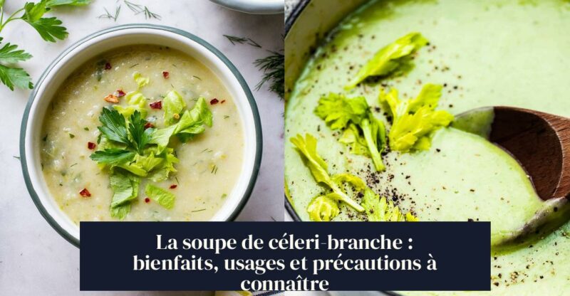 La soupe de céleri-branche : bienfaits, usages et précautions à connaître
