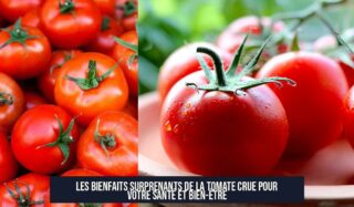 Les bienfaits surprenants de la tomate crue pour votre santé et bien-être