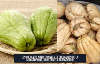 Les bienfaits nutritionnels et culinaires de la christophine, un légume à redécouvrir