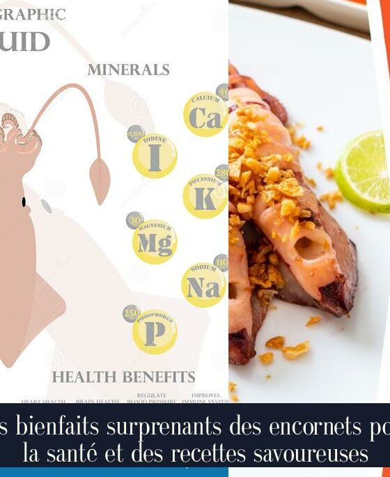 Les bienfaits surprenants des encornets pour la santé et des recettes savoureuses