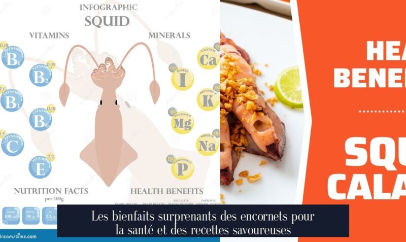 Les bienfaits surprenants des encornets pour la santé et des recettes savoureuses