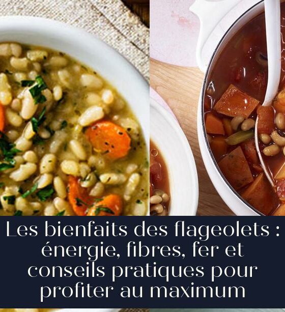 Les bienfaits des flageolets : énergie, fibres, fer et conseils pratiques pour profiter au maximum