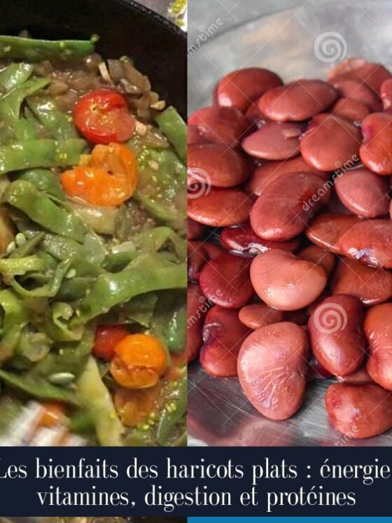 Les bienfaits des haricots plats : énergie, vitamines, digestion et protéines