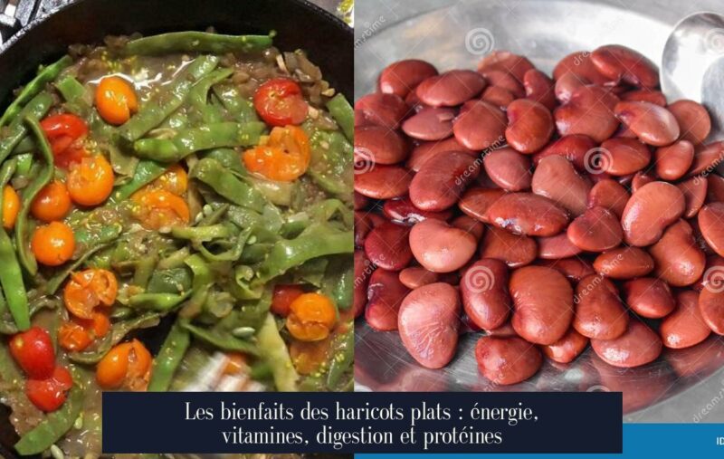 Les bienfaits des haricots plats : énergie, vitamines, digestion et protéines