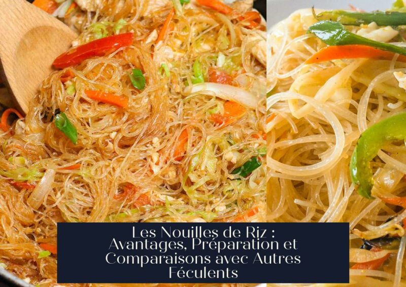 Les Nouilles de Riz : Avantages, Préparation et Comparaisons avec Autres Féculents