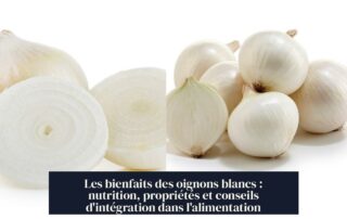 Les bienfaits des oignons blancs : nutrition, propriétés et conseils d'intégration dans l'alimentation