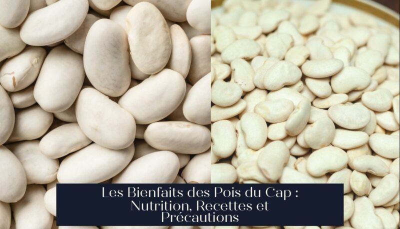 Les Bienfaits des Pois du Cap : Nutrition, Recettes et Précautions