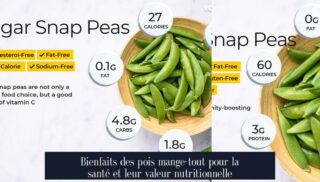 Bienfaits des pois mange-tout pour la santé et leur valeur nutritionnelle