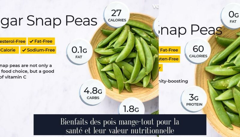 Bienfaits des pois mange-tout pour la santé et leur valeur nutritionnelle