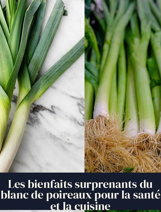 Les bienfaits surprenants du blanc de poireaux pour la santé et la cuisine