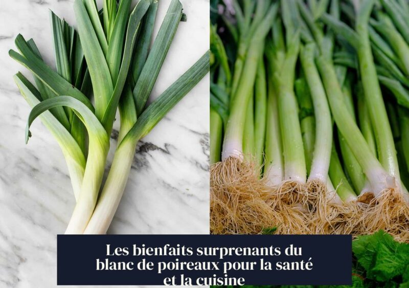 Les bienfaits surprenants du blanc de poireaux pour la santé et la cuisine