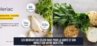 Les bienfaits du céleri-rave pour la santé et son impact sur votre bien-être