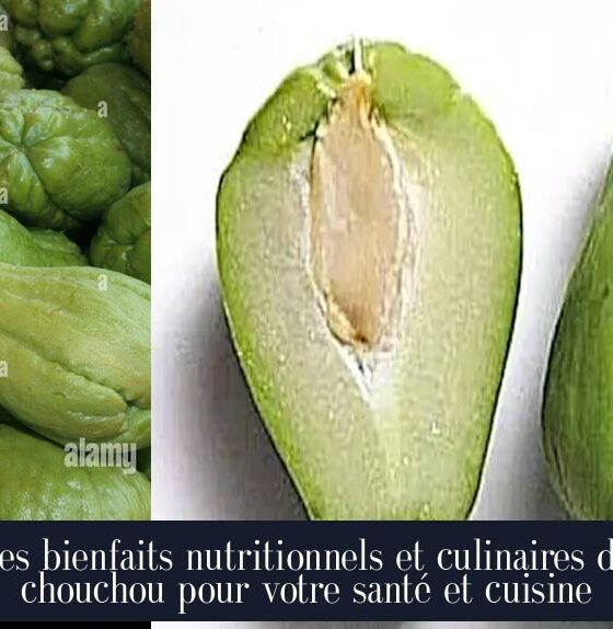 Les bienfaits nutritionnels et culinaires du chouchou pour votre santé et cuisine