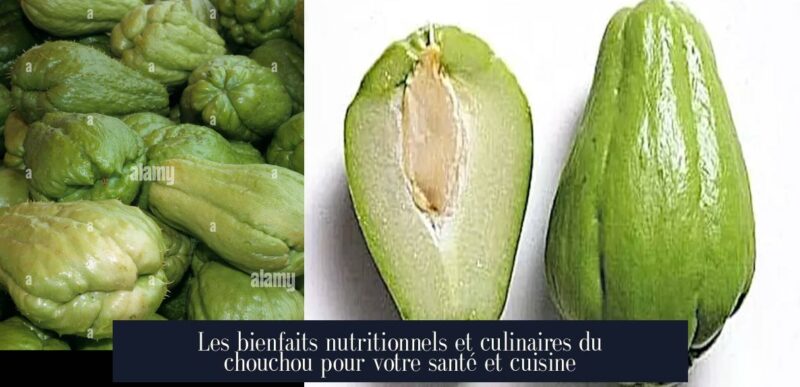 Les bienfaits nutritionnels et culinaires du chouchou pour votre santé et cuisine