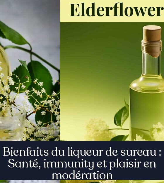 Bienfaits du liqueur de sureau : Santé, immunity et plaisir en modération