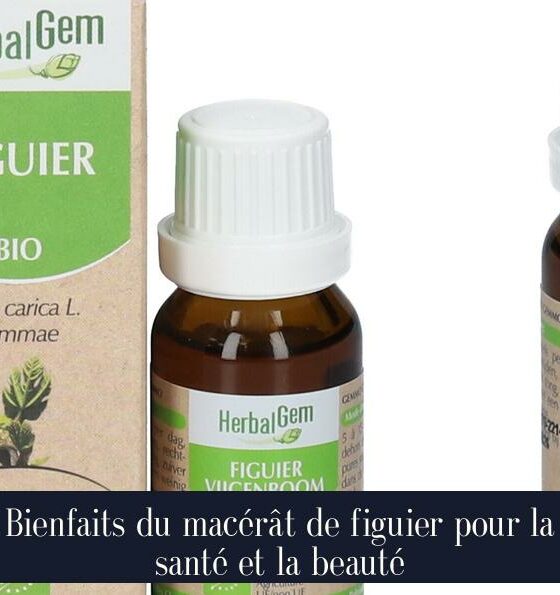 Bienfaits du macérât de figuier pour la santé et la beauté