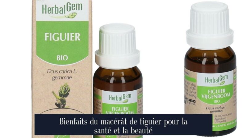 Bienfaits du macérât de figuier pour la santé et la beauté