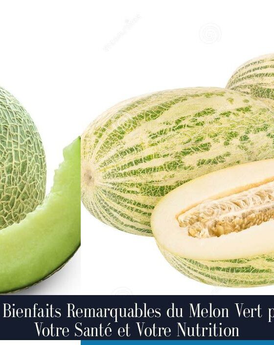 Les Bienfaits Remarquables du Melon Vert pour Votre Santé et Votre Nutrition