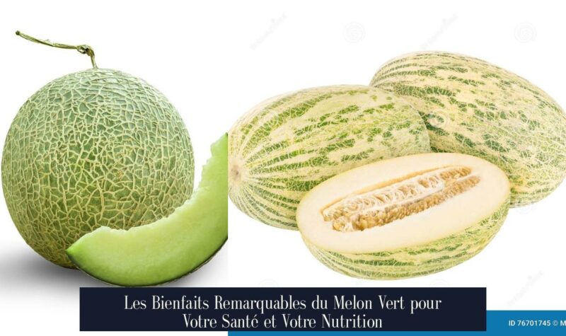 Les Bienfaits Remarquables du Melon Vert pour Votre Santé et Votre Nutrition