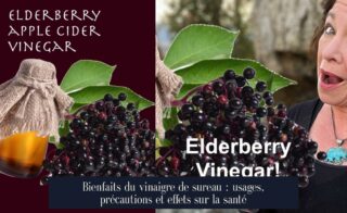 Bienfaits du vinaigre de sureau : usages, précautions et effets sur la santé