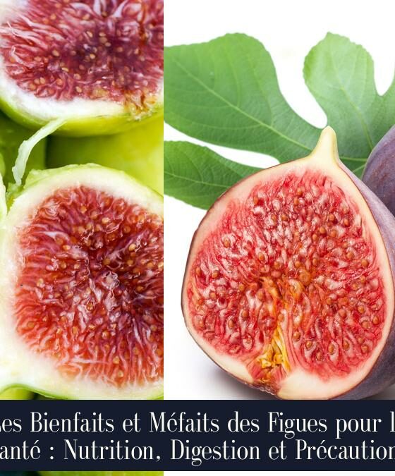 Les Bienfaits et Méfaits des Figues pour la Santé : Nutrition, Digestion et Précautions