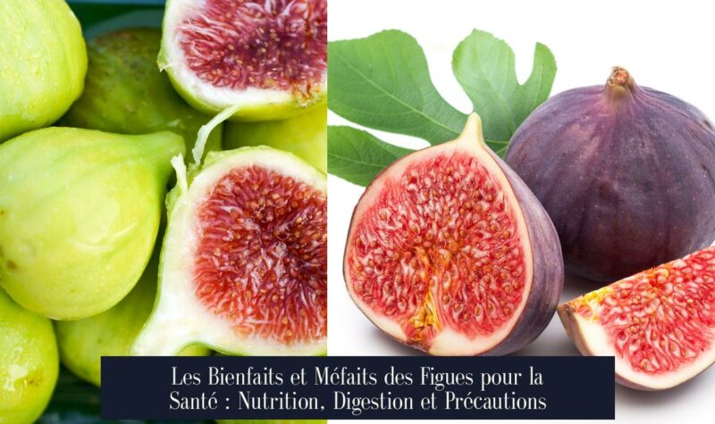 Les Bienfaits et Méfaits des Figues pour la Santé : Nutrition, Digestion et Précautions