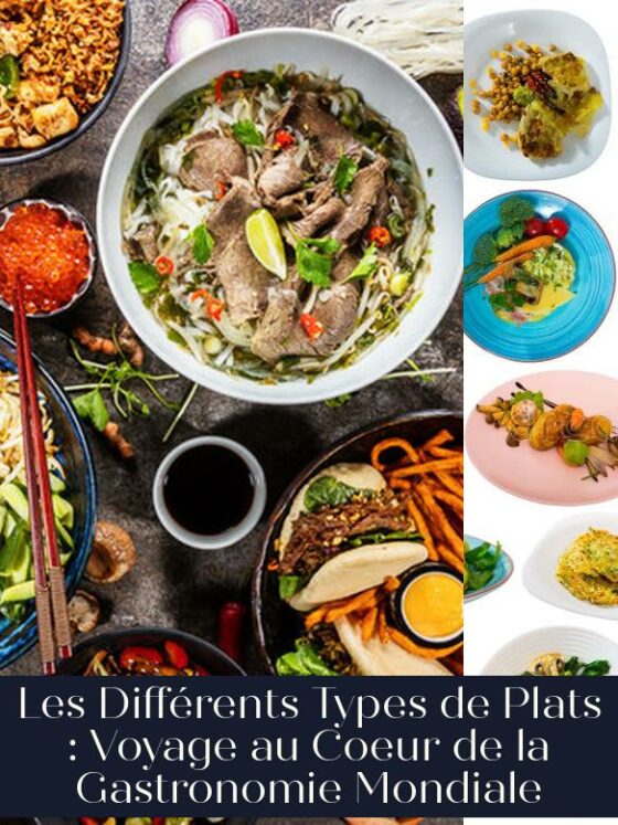 Les Différents Types de Plats : Voyage au Coeur de la Gastronomie Mondiale