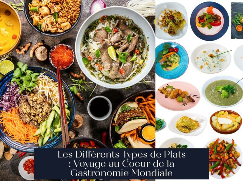 Les Différents Types de Plats : Voyage au Coeur de la Gastronomie Mondiale