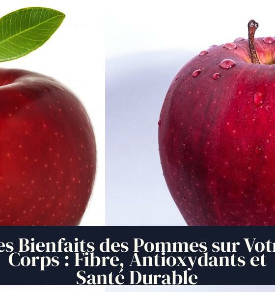 Les Bienfaits des Pommes sur Votre Corps : Fibre, Antioxydants et Santé Durable