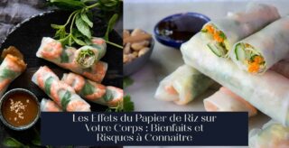 Les Effets du Papier de Riz sur Votre Corps : Bienfaits et Risques à Connaitre