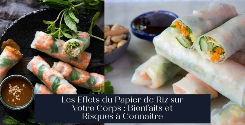Les Effets du Papier de Riz sur Votre Corps : Bienfaits et Risques à Connaitre