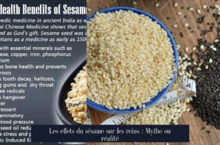 Les effets du sésame sur les reins : Mythe ou réalité