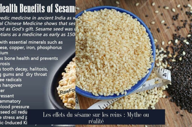 Les effets du sésame sur les reins : Mythe ou réalité