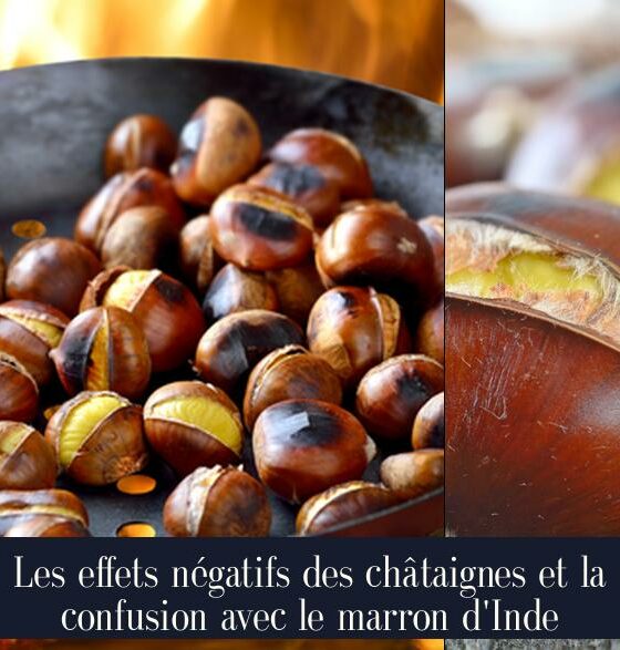 Les effets négatifs des châtaignes et la confusion avec le marron d'Inde