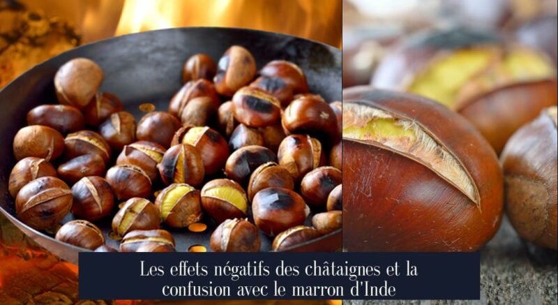 Les effets négatifs des châtaignes et la confusion avec le marron d'Inde