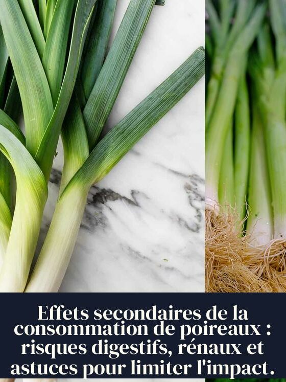 Effets secondaires de la consommation de poireaux : risques digestifs, rénaux et astuces pour limiter l'impact.
