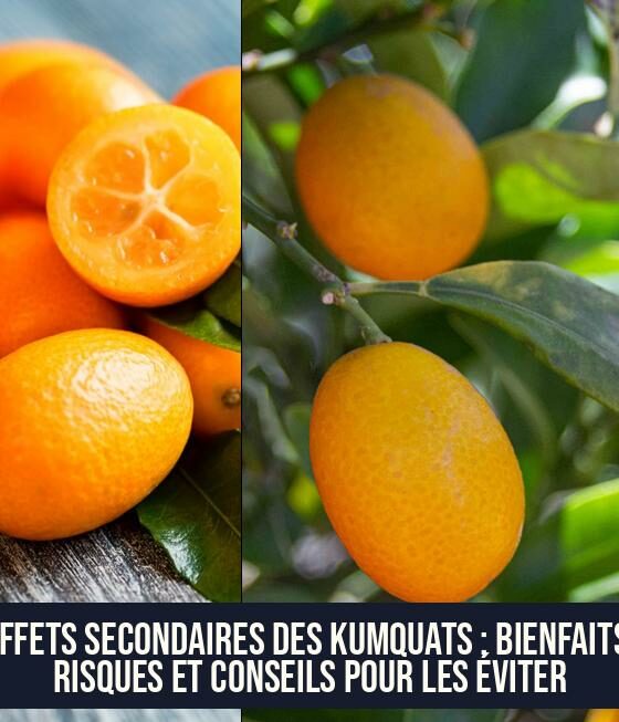 Effets secondaires des kumquats : Bienfaits, risques et conseils pour les éviter