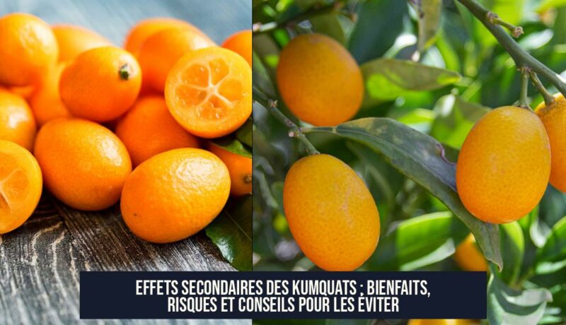 Effets secondaires des kumquats : Bienfaits, risques et conseils pour les éviter