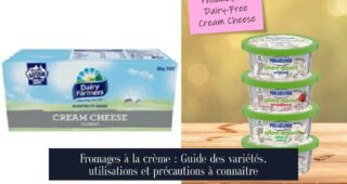 Fromages à la crème : Guide des variétés, utilisations et précautions à connaître