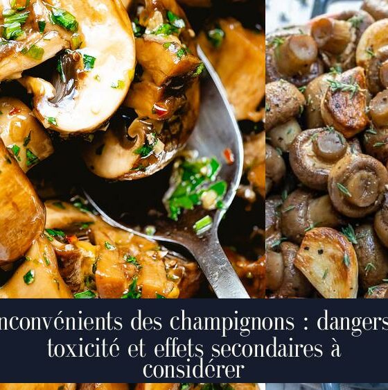 Inconvénients des champignons : dangers, toxicité et effets secondaires à considérer