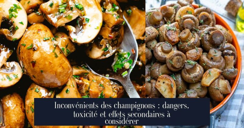 Inconvénients des champignons : dangers, toxicité et effets secondaires à considérer