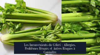 Les Inconvénients du Céleri : Allergies, Problèmes Rénaux et Autres Risques à Connaître