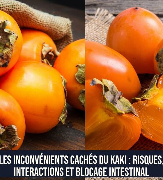 Les inconvénients cachés du kaki : risques, interactions et blocage intestinal