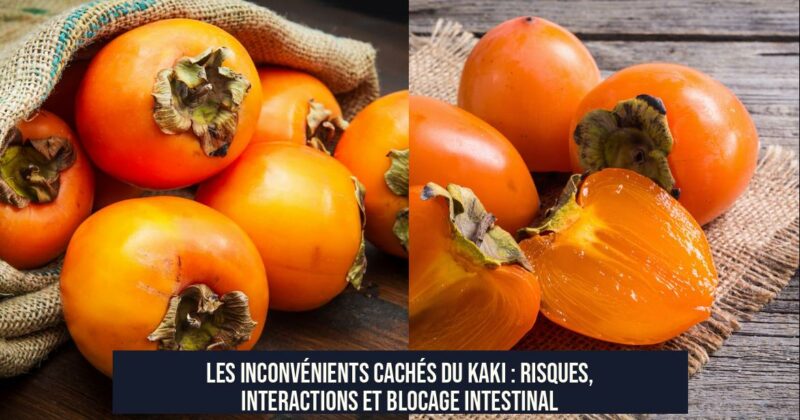 Les inconvénients cachés du kaki : risques, interactions et blocage intestinal