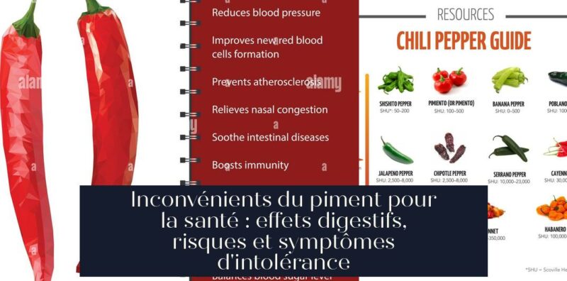 Inconvénients du piment pour la santé : effets digestifs, risques et symptômes d'intolérance