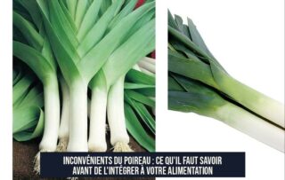 Inconvénients du poireau : Ce qu'il faut savoir avant de l'intégrer à votre alimentation