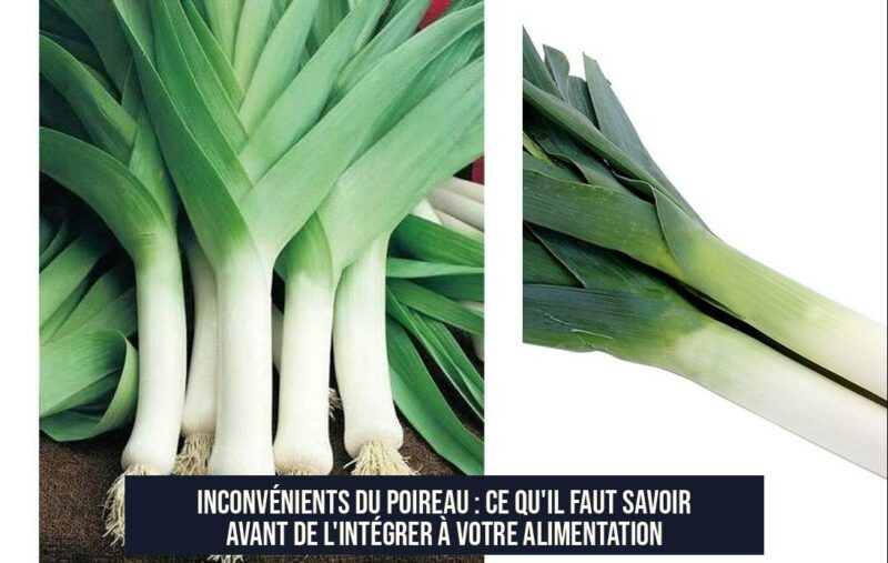 Inconvénients du poireau : Ce qu'il faut savoir avant de l'intégrer à votre alimentation